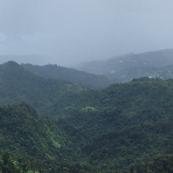 Meet your Posher, Shannon - Picture 1 of 1